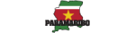 Logo Paramaribo
