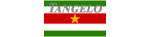 Logo Tangelo