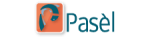 Logo Vis Specialist Pasel