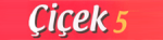 Logo Cicek Beuningen