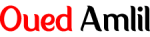 Logo Oued Amlil