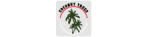 Logo Coconut Trees