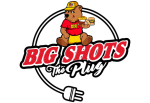 Logo Big Shots X The Plug