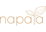Logo Napata