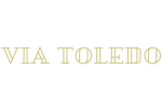 Logo Via Toledo