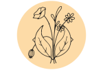 Logo Wildflower Foods